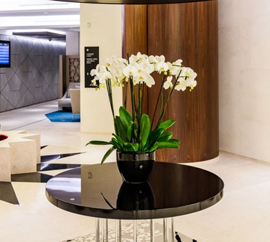 QATAR AIRWAYS VIP LOUNGE