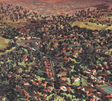 SUNRISE HILLS