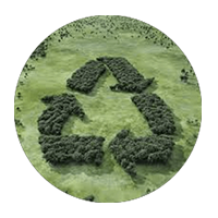 Environmental Responsibility